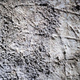 Illustration for article titled Ancient Brits were carving reindeer art 15,000 years ago